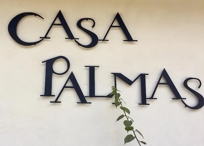 Casa Palmas *